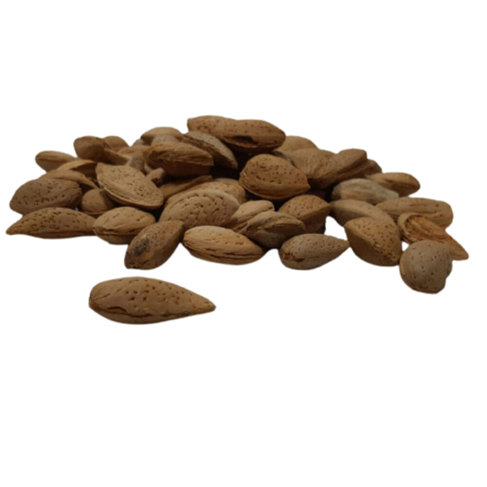 stone-almond