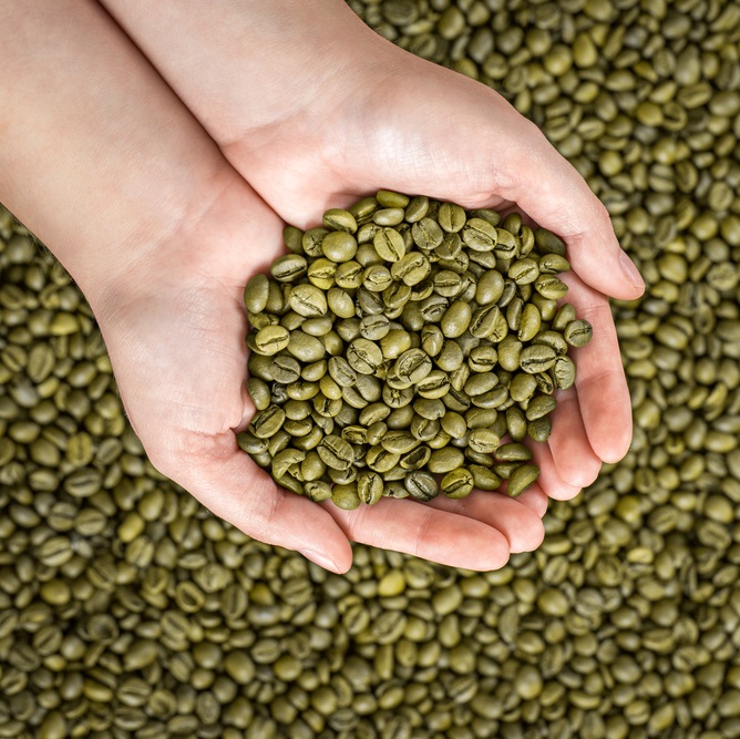 انواع دانه قهوه سبز